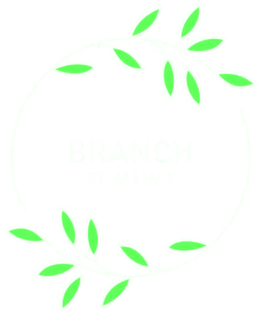 BRANCH CLIMBING